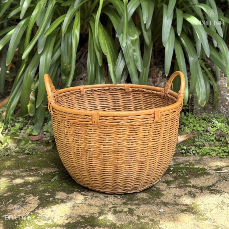 Sọt tre bầu tròn