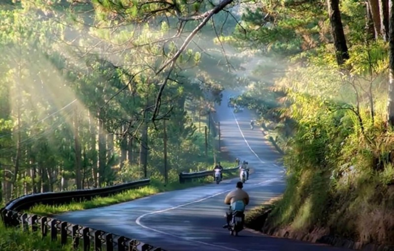 10+ Con đường đẹp nổi tiếng Đà Lạt "must go" khi du lịch