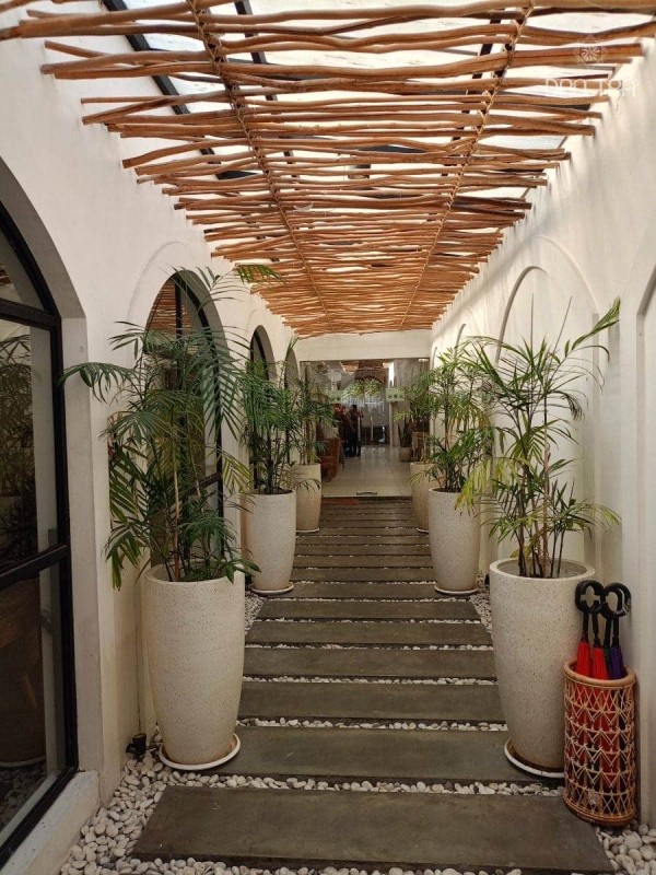 Cây rừng giá rẻ trang trí vách trần quán cafe, homestay đẹp thumb