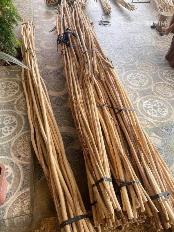 Cây rừng giá rẻ trang trí vách trần quán cafe, homestay đẹp thumb