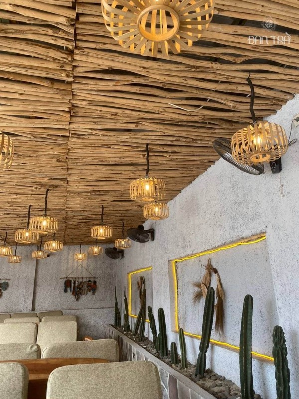 Cây rừng giá rẻ trang trí vách trần quán cafe, homestay đẹp thumb