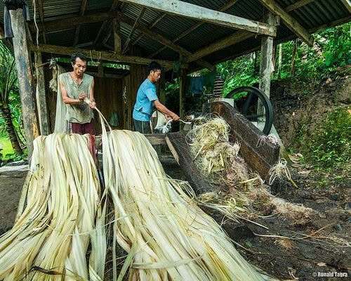 Tất tần tật về chất liệu sợi tơ chuối trong trang trí nội thất