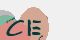 securitycode