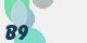 securitycode