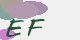 securitycode