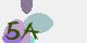 securitycode