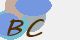 securitycode