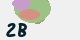 securitycode