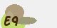 securitycode