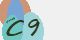 securitycode