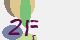 securitycode