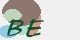securitycode