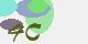 securitycode