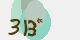 securitycode