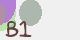 securitycode