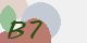 securitycode