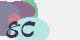 securitycode