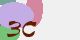 securitycode