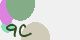 securitycode