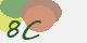 securitycode