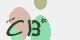 securitycode