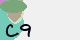 securitycode