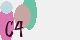 securitycode