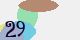 securitycode
