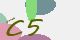 securitycode