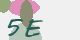 securitycode