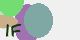 securitycode