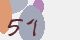 securitycode