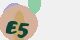 securitycode