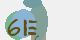 securitycode