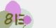 securitycode