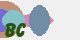 securitycode