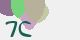securitycode