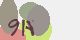 securitycode