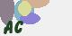 securitycode