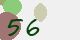 securitycode