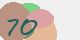 securitycode