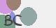 securitycode