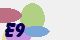 securitycode
