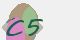 securitycode