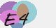 securitycode