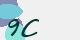 securitycode