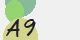 securitycode