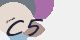 securitycode