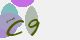securitycode