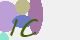 securitycode